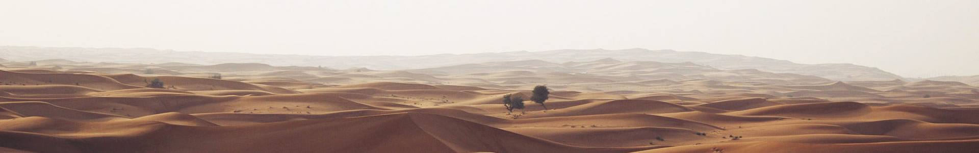 ݸٻ޹˾